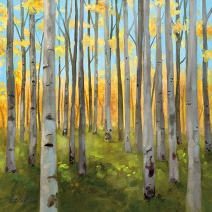 Picture of BIRCH WOODS I