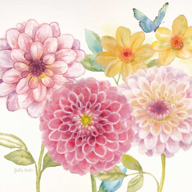 Picture of DAHLIA GARDEN I