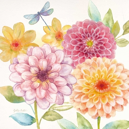 Picture of DAHLIA GARDEN II