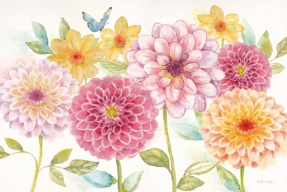 Picture of DAHLIA GARDEN LANDSCAPE