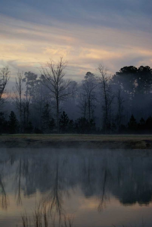 Picture of MISTY MORNING