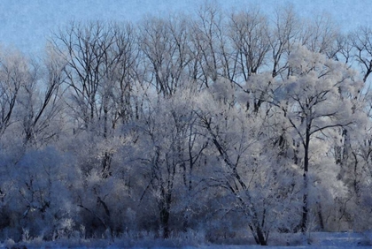 Picture of ICE LAND