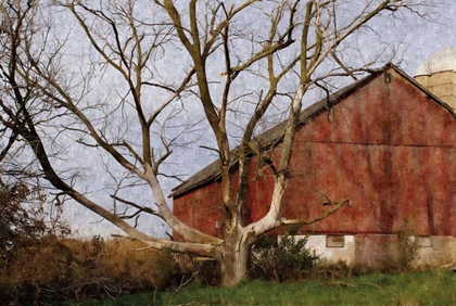 Picture of THE OLD BARN