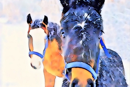 Picture of SNOW HORSES