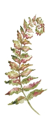 Picture of BOTANICAL FERN SINGLE II