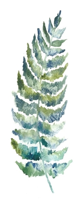 Picture of BOTANICAL FERN SINGLE III