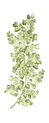 Picture of BOTANICAL FERN SINGLE IV