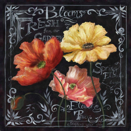 Picture of FLOWERS IN BLOOM CHALKBOARD II 