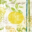 Picture of FRUIT CRUSH IV 