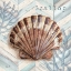 Picture of CHEVRON SHELL VI 