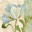 Picture of PASTEL POPPIES IV
