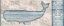 Picture of OCEAN LIFE WHALE