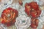 Picture of RED AND WHITE POPPIES LANDSCAPE