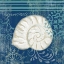 Picture of NAVY BLUE SPA SHELLS I