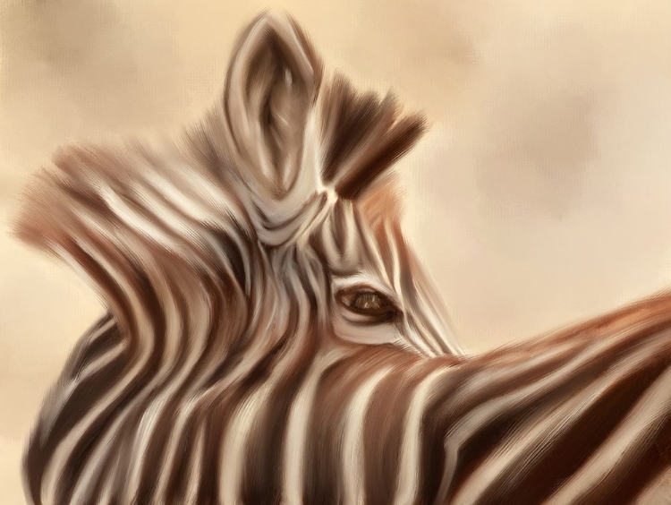 Picture of ZEBRA LOOKING OVER SHOULDER