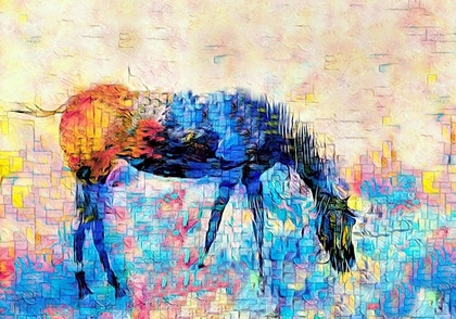 Picture of MONDRIAN HORSE