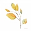 Picture of MODERN LEAF STUDY ON WHITE II