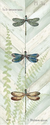 Picture of DRAGONFLY BOTANICAL PANELS I