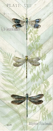 Picture of DRAGONFLY BOTANICAL PANELS II