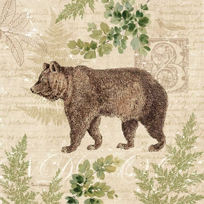 Picture of WOODLAND TRAIL II - BEAR