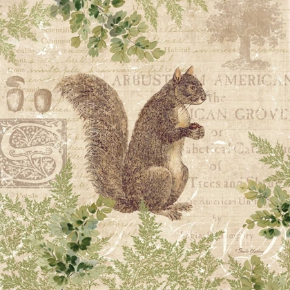 Picture of WOODLAND TRAIL III - SQUIRREL 