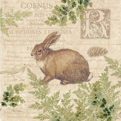 Picture of WOODLAND TRAIL IV - RABBIT 