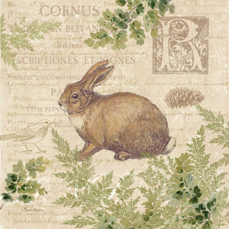 Picture of WOODLAND TRAIL IV - RABBIT 