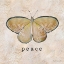 Picture of BUTTERFLY EXPRESSIONS IV