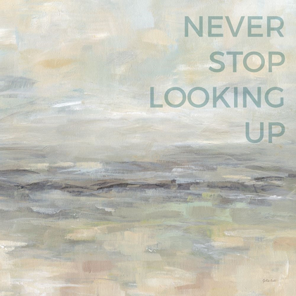 Picture of NEVER STOP LOOKING UP 