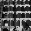 Picture of WINDOWS