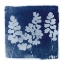 Picture of FLORA CYANOTYPE II