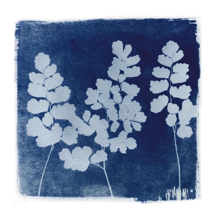 Picture of FLORA CYANOTYPE II