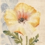 Picture of WATERCOLOR POPPIES II