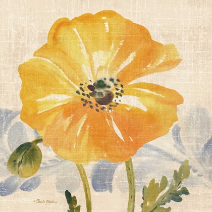 Picture of WATERCOLOR POPPIES VI