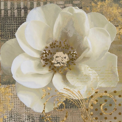 Picture of WHITE POPPY SHIMMER I