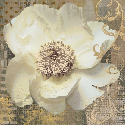 Picture of WHITE POPPY SHIMMER II