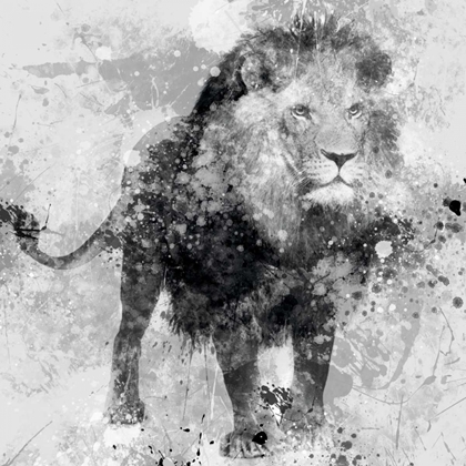 Picture of LION