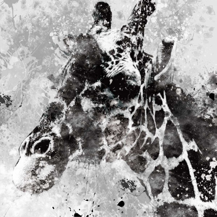 Picture of GIRAFFE