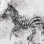 Picture of ZEBRA II