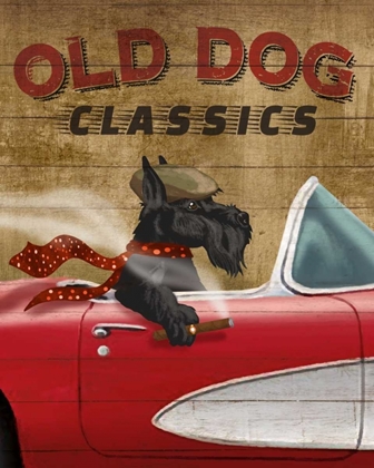 Picture of OLD DOG CLASSICS