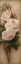 Picture of PINK PETALS I
