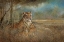 Picture of WILD AND BEAUTIFUL