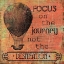 Picture of VINTAGE INSPIRATION I