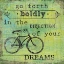 Picture of VINTAGE INSPIRATION IV