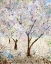 Picture of CHERRY BLOSSOMS II