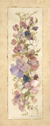 Picture of SWEETPEAS FOR ANNABELLE II