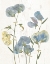 Picture of BLUE SWEET PEAS I