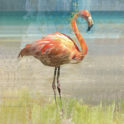 Picture of FLAMINGO FANCY I