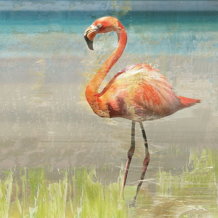 Picture of FLAMINGO FANCY II