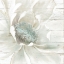Picture of WEATHERED WHITE I